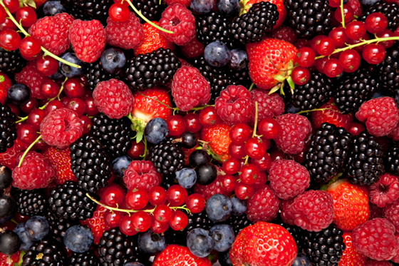 Berries